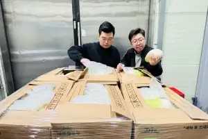 “올해 저장무 총량 4만 200t” 대아청과, 전수조사 결과 발표