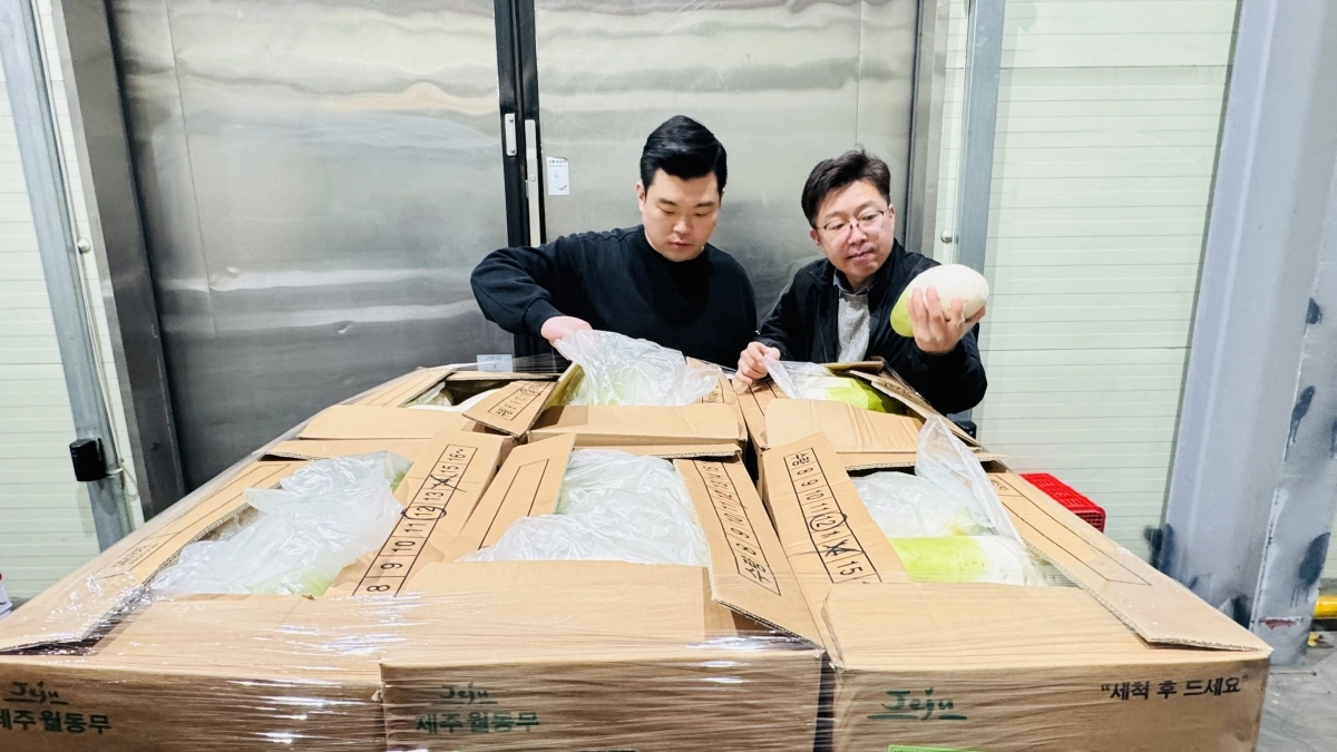 대아청과 관계자들이 지난 7일 경상남도 밀양시 저장무 창고를 점검하고 있다. 대아청과 제공