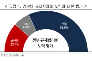 기업 64% “정부 규제합리화 노력 만족”…최대부담은 ‘중대재해처벌법’