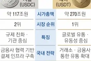 “스테이블코인 온다는데… 왜 한국은 못 쓰나요”, 디지털 지갑 대신 은행앱… ‘코인 없는 코인시대’