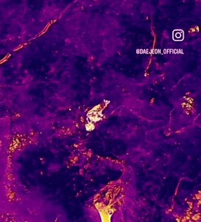 14일 오전 1시 41분쯤 대전 무수동 348번지 일원에서 일반 드론과 열화상 드론에 포착된 늑구 모습. 2026.4.14 대전서부소방서 119 구조대 제공