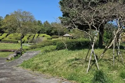 IUCN 기념숲에 AI 기반 안전관리 시스템 도입… 머물고 싶은 숲으로