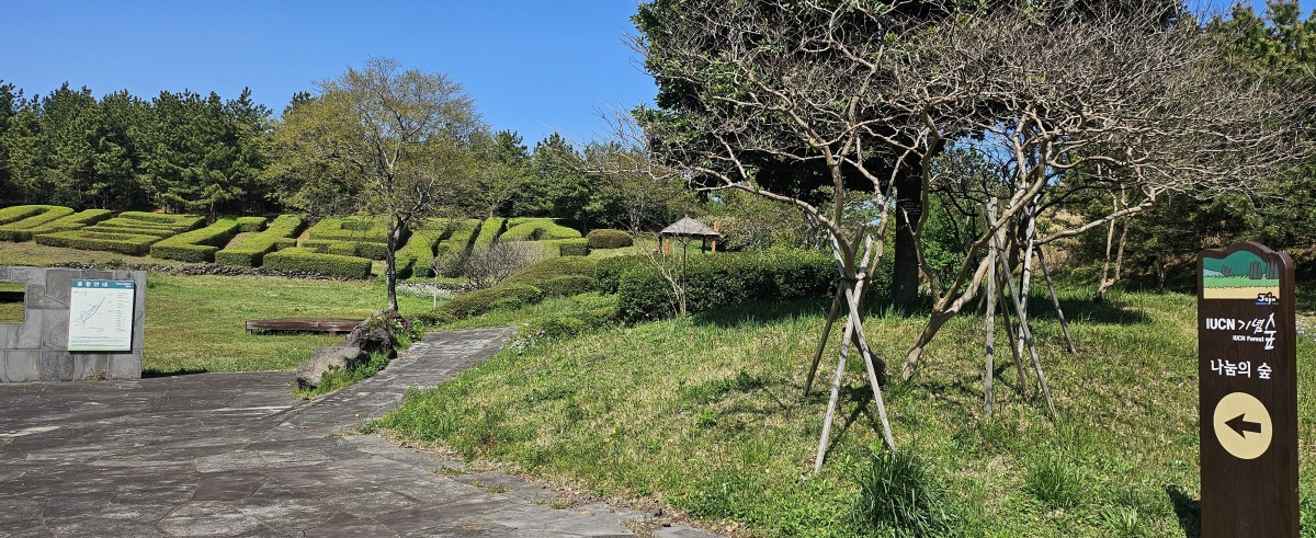 제주도가 서귀포시 안덕면 동광리 5만 4500㎡에 조성된 작은 숲 IUCN 기념숲에 인공지능 기반 안전관리 시스템을 도입한다. 제주 강동삼 기자