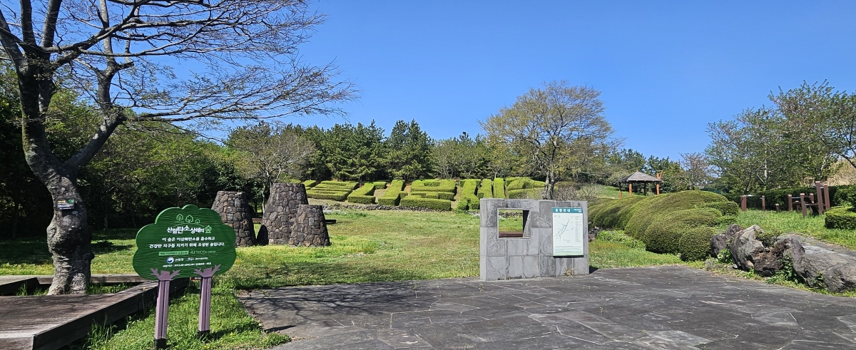 IUCN 기념숲은 2015년 제주도 제1호 산림탄소상쇄숲으로 지정된 곳이다. 제주 강동삼 기자