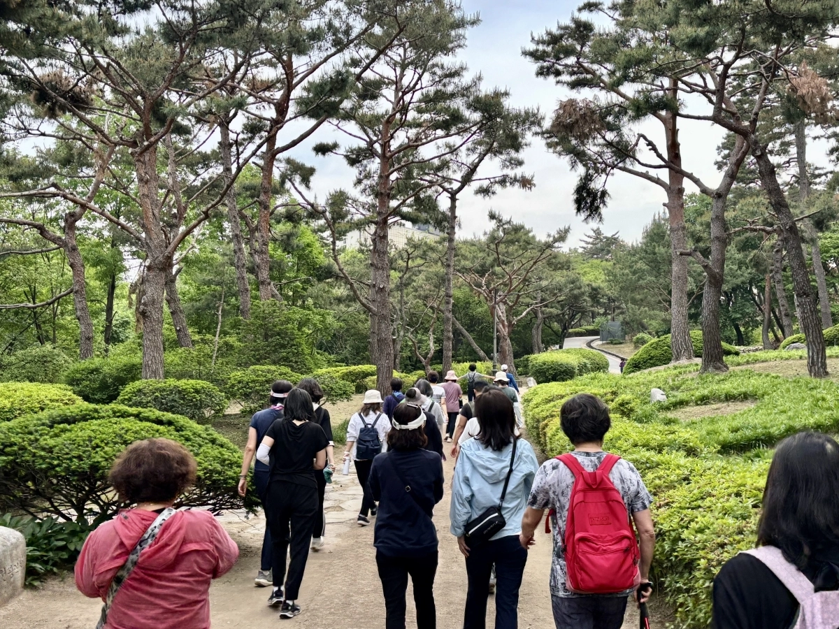 서울 용산구 주민들이 지난달 이태원동 남산공원에서 걷기 활동에 참여하고 있다. 용산구 제공