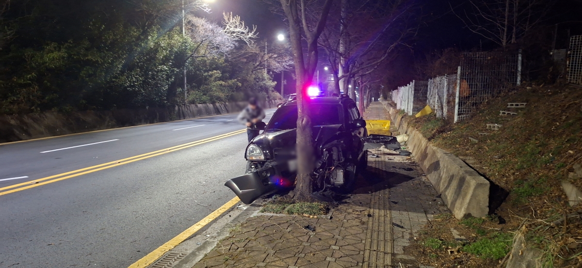 지난 3월 7일 부산 금정구 두구동 한 도로에서 중학생이 운전하던 자동차가 가로수를 들이받고 멈춰서 있다. 부산경찰청 제공