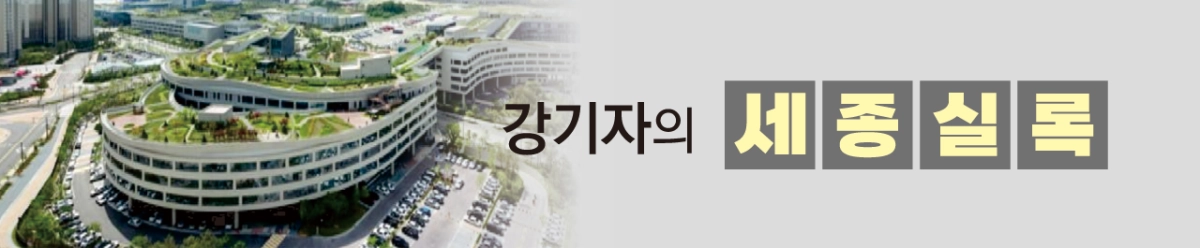 강기자의 세종실록