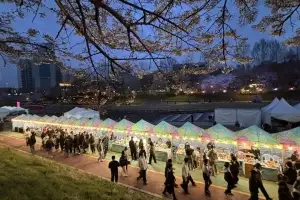 벚꽃만큼 흥한 양재아트살롱… 10만명 즐겼다