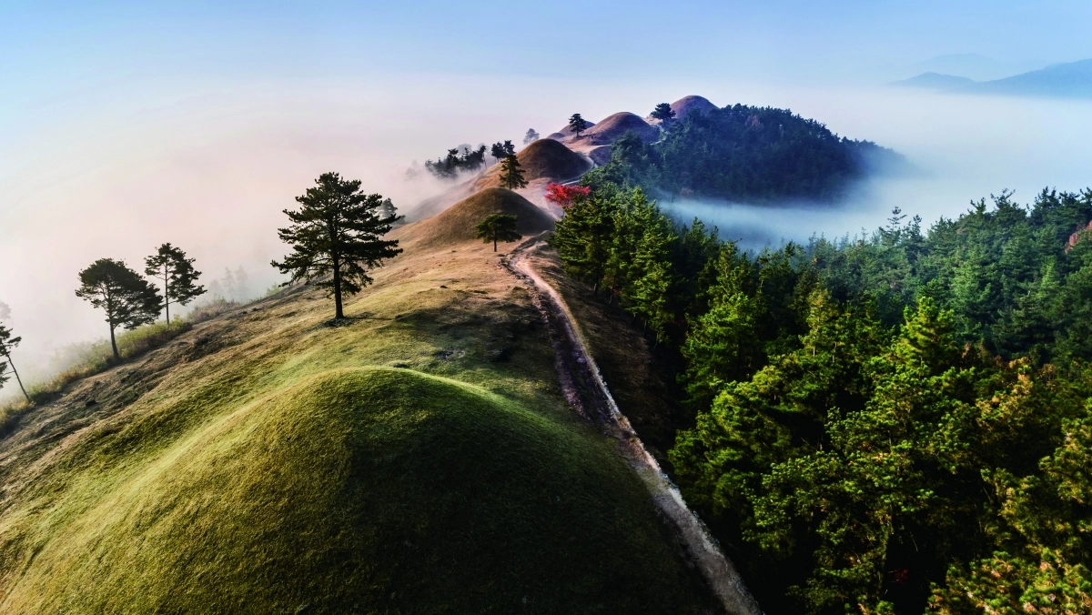 대가야고분군 전경. 고령군 제공