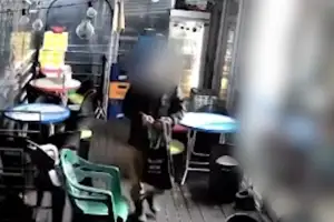 “새벽마다 소주가 사라진다”… 보름간 9차례 훔친 50대 남성 붙잡았다