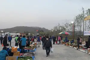 ‘안성농업인 직거래 새벽시장’ 18일 개장…11월 말까지 운영