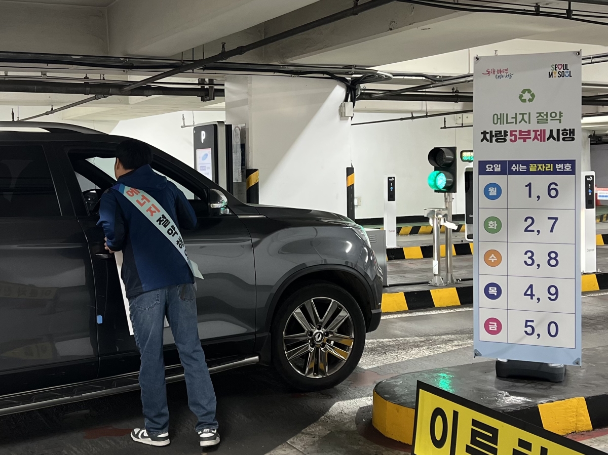 공영주차장 5부제