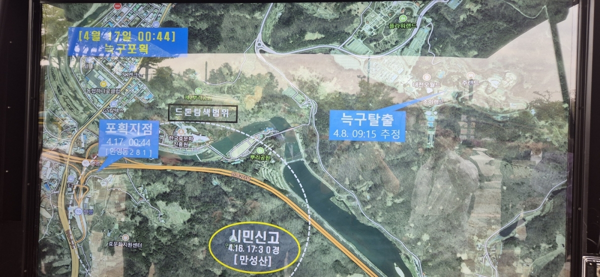 늑구의 이동 및 포획 동선. 대전시 제공