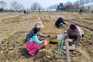 “도심 영농 체험 하세요” 강동구, 도시텃밭 4곳 동시 개장