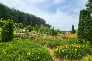 “서해 낙조 품은 치유의 정원”… 10년 공들인 ‘안면도 지방정원’ 한 폭의 그림