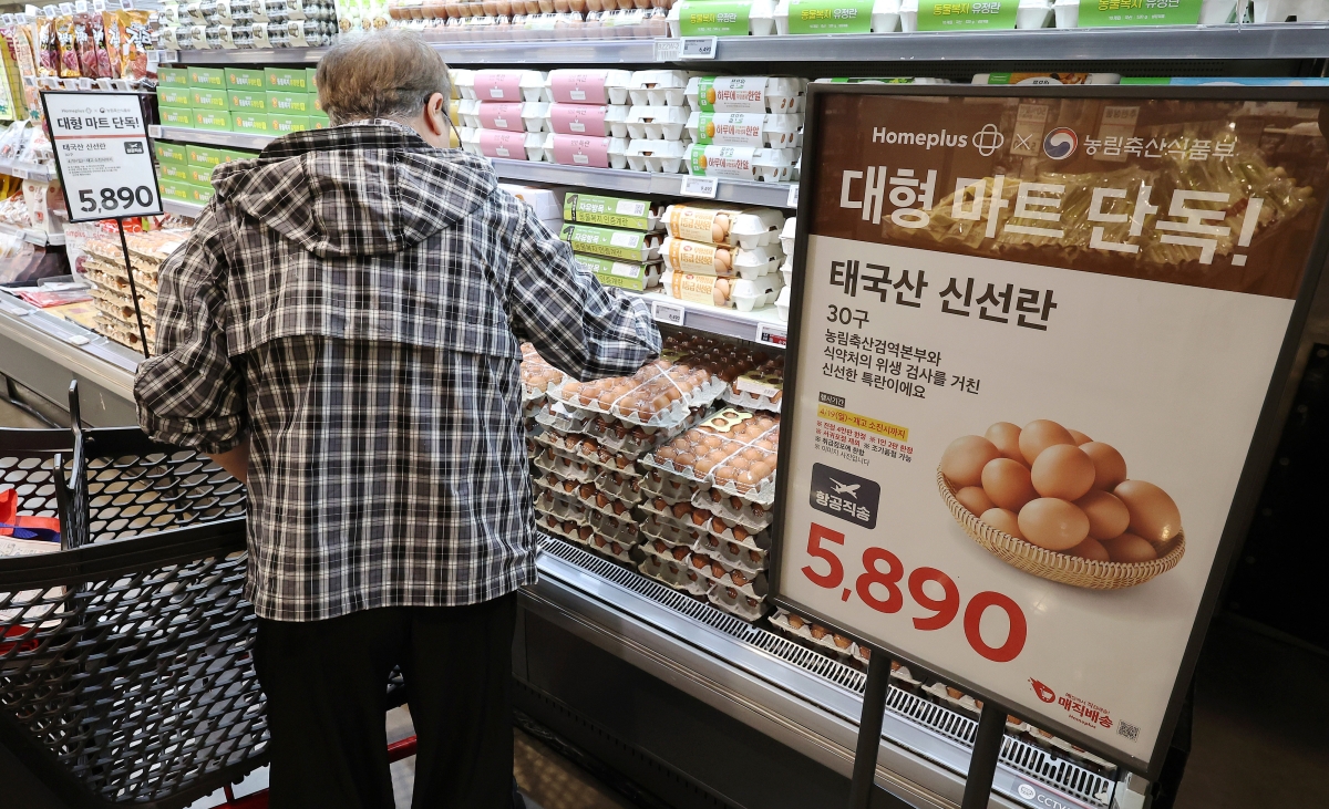 계란이 왔어요~ 17% 싼 태국산 신선란