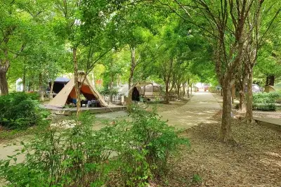 “노쇼 땐 예약 제한”…광주시, 시민의숲 야영장 관리 강화