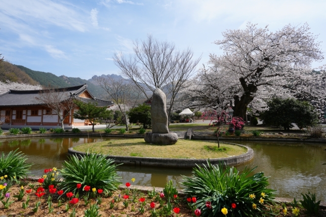 1000년의 명상… 전남 사찰서 마음 다독여요