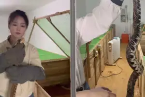 thumbnail - “위험해” 아빠 만류에도…사무직 때려치고 ‘연 2억’ 대박 난 女 사연