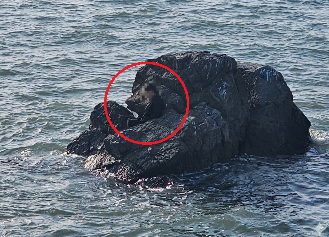 갯바위에 고립된 A씨. 평택해경 제공