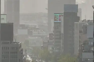 밤 사이 황사 유입…전북지역 미세먼지 주의보 확대