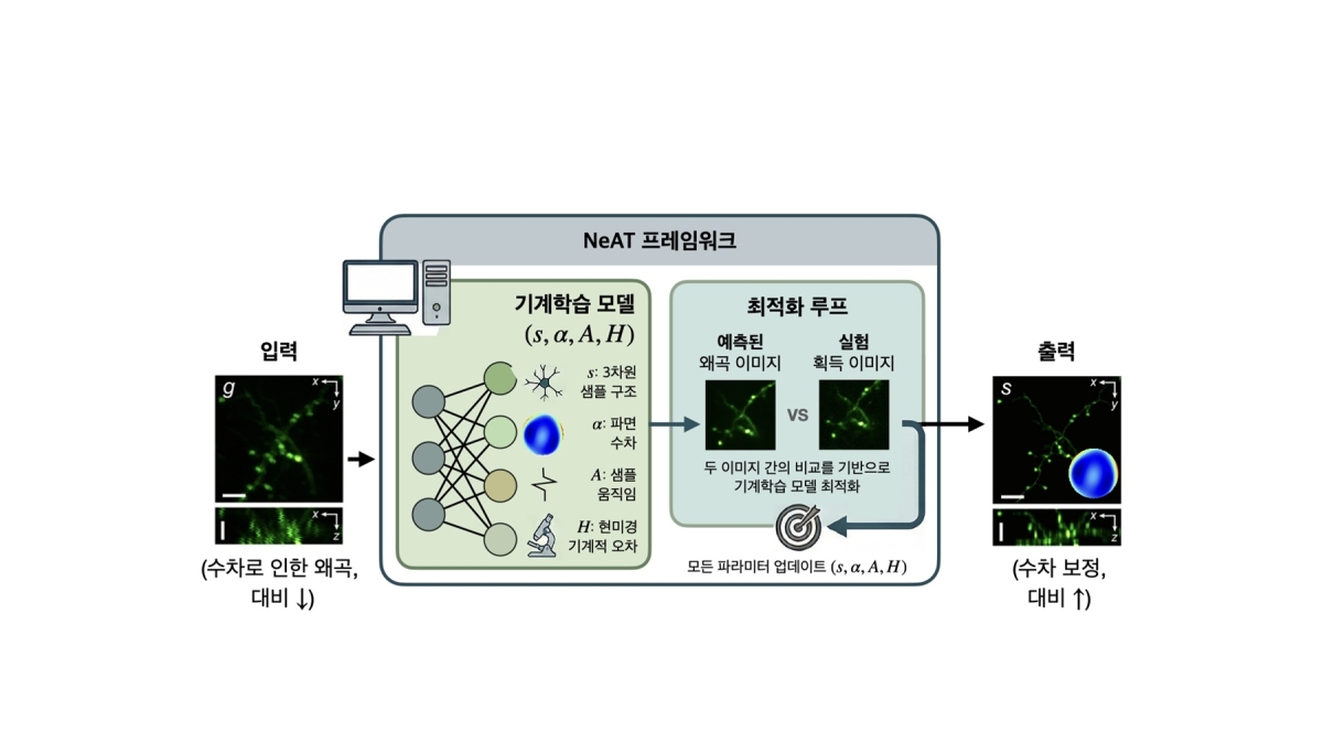 이광자 형광 현미경 통합 왜곡 보정을 위한 프레임워크  카이스트 제공
