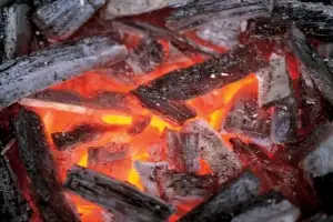 조카 결박하고 숯불로 3시간 고문·숨지게 한 무속인 감형됐다…무기징역→징역 7년