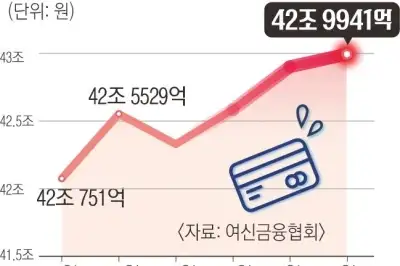 불황형 대출 카드론 43조 ‘역대 최대’