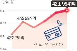 불황형 대출 카드론 43조 ‘역대 최대’