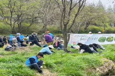 송파구 “외래 생태계교란식물 없애고 지역 자연 살려요”