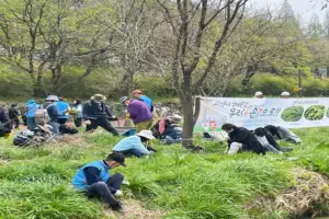 송파구 “외래 생태계교란식물 없애고 지역 자연 살려요”