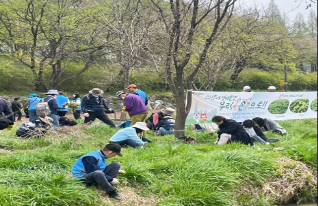 송파구 관계자와 주민들이 지난해 4월 생태교란식물 퇴치캠페인 활동을 벌이고 있다. 송파구 제공