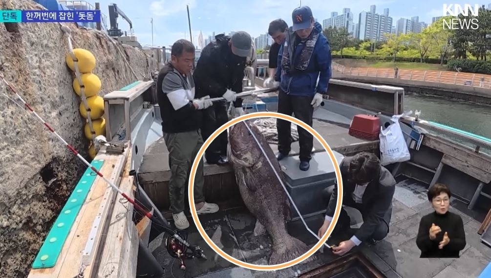 KNN 방송화면 캡처