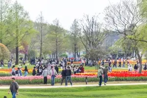 순천만국가정원 관람객 올해 100만 돌파, 지역경제도 활짝!