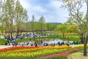 순천만국가정원 올해 방문객 100만명 돌파