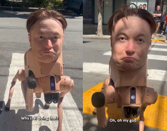 일론 머스크 테슬라 최고경영자(CEO) 얼굴을 한 네 발 달린 로봇이 최근 샌프란시스코 곳곳에서 목격됐다. 소셜미디어(SNS) 캡처
