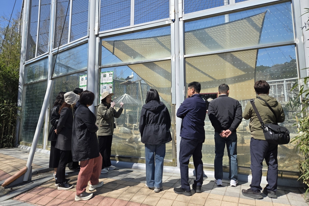 광주 우치동물원을 찾은 관람객들이 동물들을 살펴보고 있다. 광주 우치동물원 제공