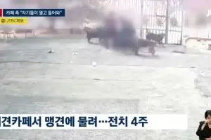 thumbnail - “물려 죽는 줄”…애견 카페서 맹견 4마리 집단 공격에 머리 찢긴 20대女