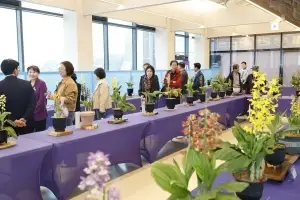 신안군, ‘2026 전국새우란대전’ 성료…작품성 뛰어나