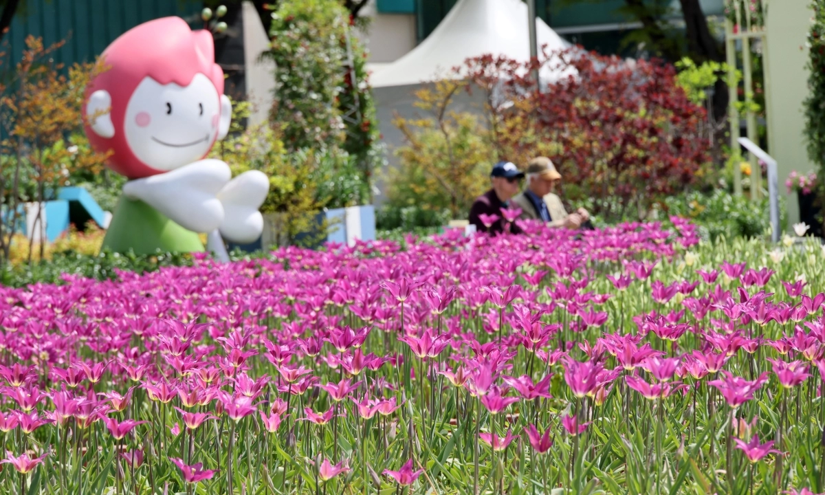 고양 꽃박람회, 시간을 물들이다