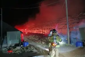 경북 의성서 양계장 화재 발생해 병아리 1만 마리 폐사