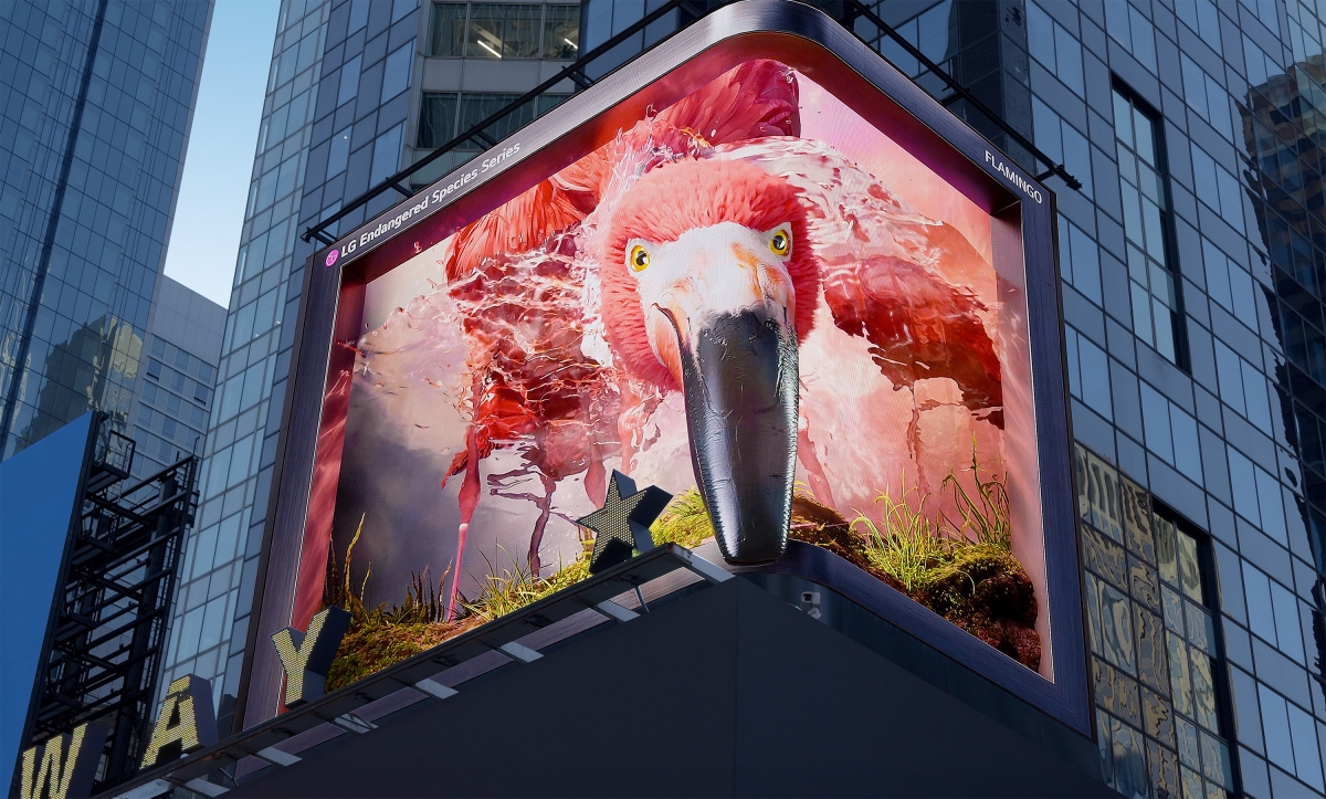 LG전자는 미국 뉴욕 타임스스퀘어 전광판에서 ‘플라밍고’를 주제로 한 9번째 ‘LG와 함께하는 위기 동물 보호 캠페인’ 영상을 공개했다. 이번 영상은 수질 오염, 기후 변화 등으로 먹이활동에 어려움을 겪는 플라밍고의 모습을 통해 환경 파괴의 심각성을 알린다. LG전자 제공