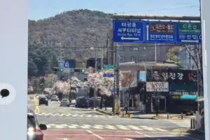 늑구 거리 활보 사진 ‘AI로 만든 가짜’…경찰, 유포자 검거