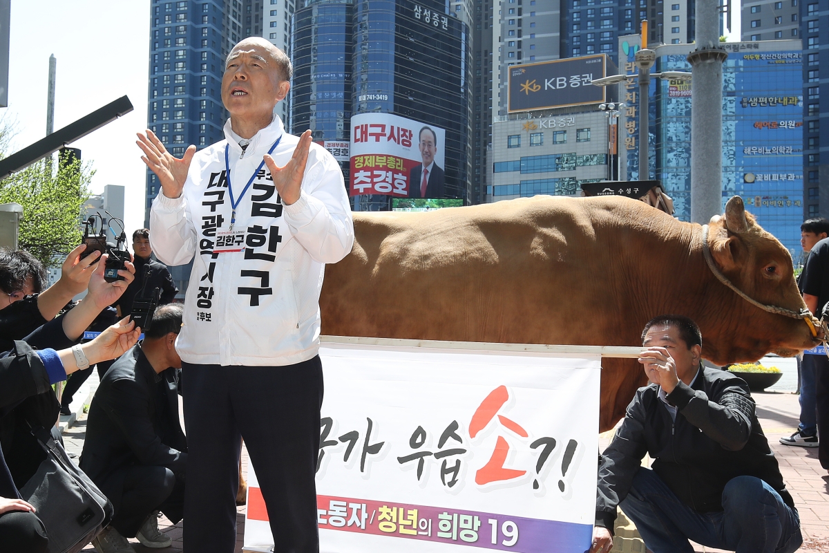 싸움소 앞에서 각오 밝히는 김한구 무소속 후보