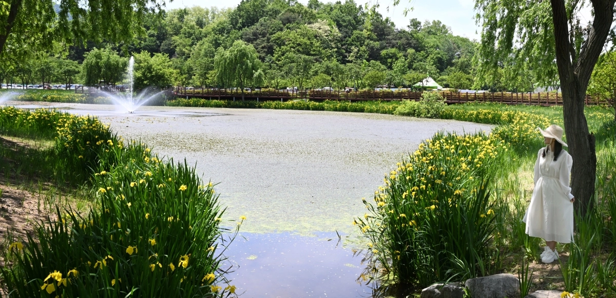 경남 거창군 창포원 모습. 2026.4.24. 거창군 제공