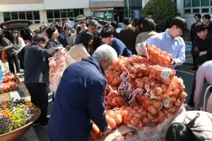 무안군, ‘양파 가격 하락’ 소비 촉진 나서…조생양파 공동구매