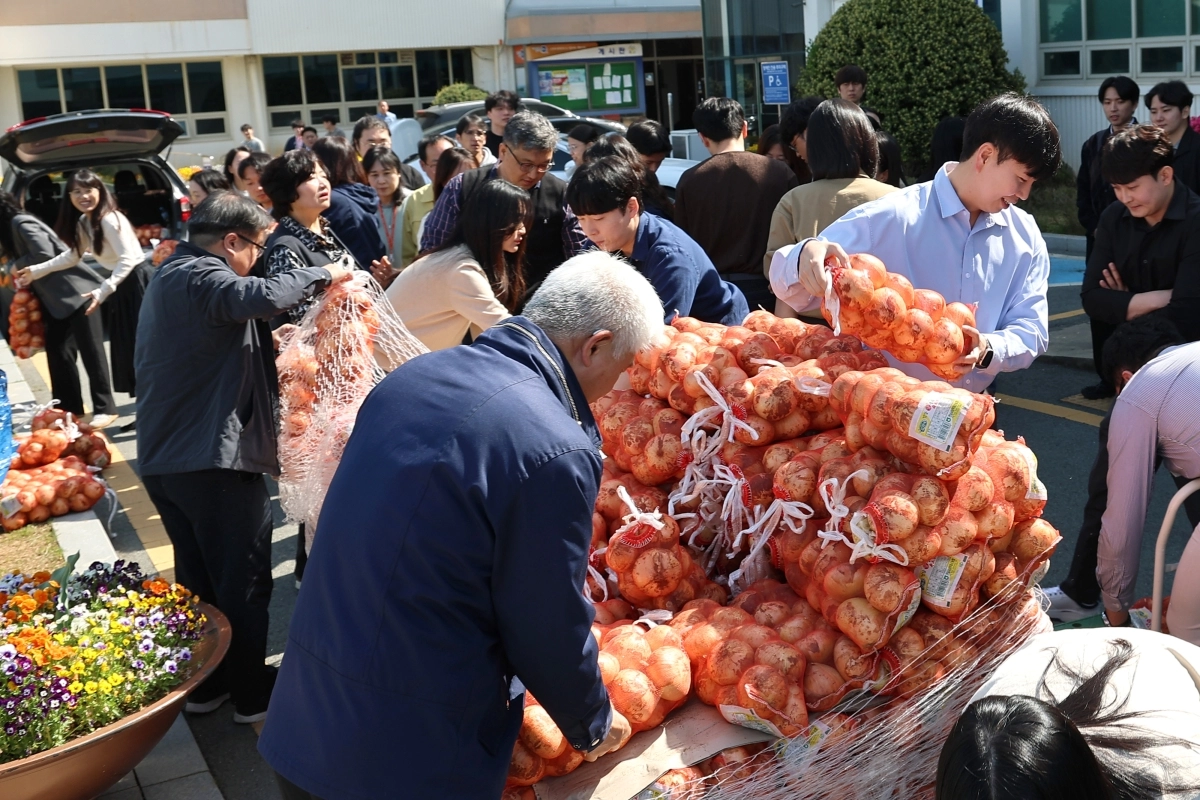 전남 무안군 공직자들이 양퍄 소비 부진으로 어려움을 겪고 있는 재배 농가들을 돕기 위해 공동구매 캠페인을 벌이고 있다. (무안군 제공)