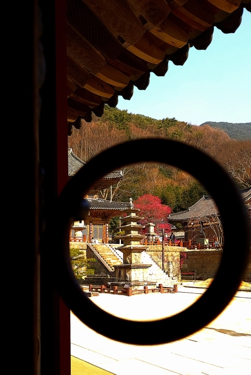 휴대전화 카메라부문 최우수상 ‘문 고리 너머로 본 홍매화’. 조계종 제공.