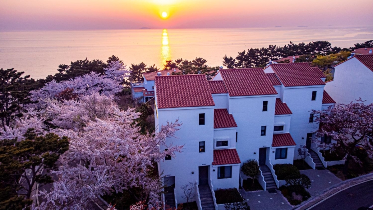 아일랜드 리솜 리조트