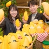제철 태국 망고 맛보세요